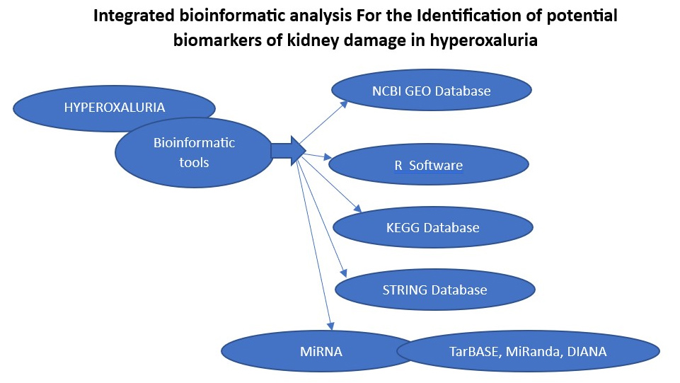 Graphical Abstract